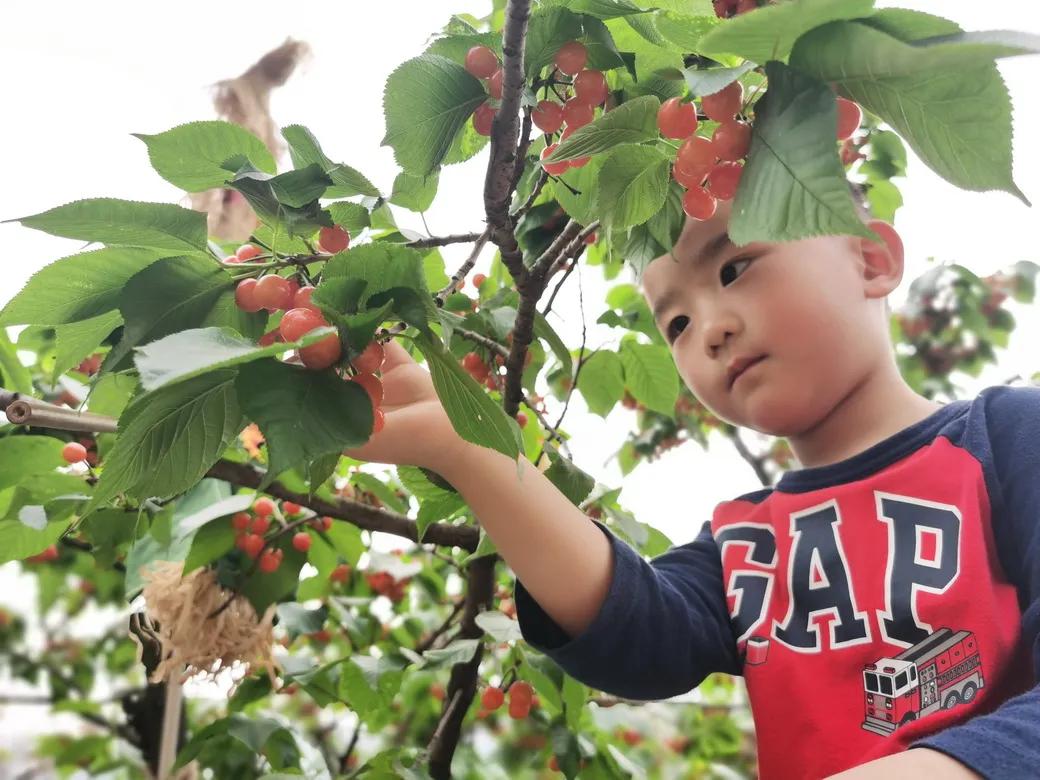 成都市双流区胜利幼儿园主题活动,天府新区幼儿园活动