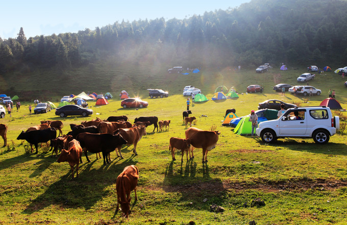 探寻秘境重庆武隆一日游,武隆的世外桃源