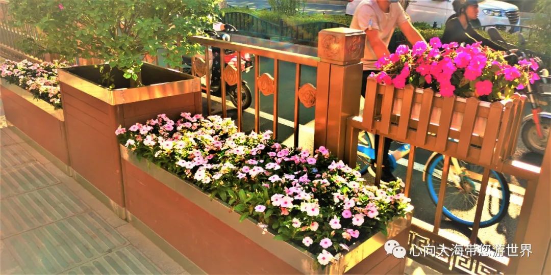 带您去甘肃兰州,住宁卧庄国宾馆,吃兰州饭店黄焖羊肉,美哉