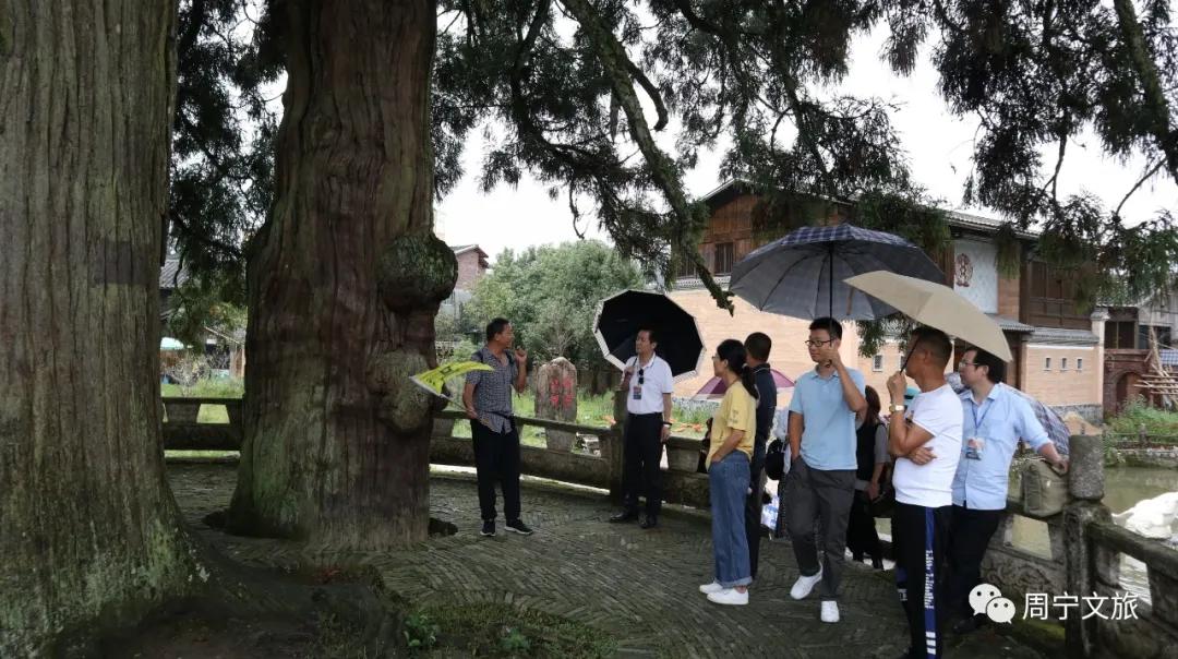 周宁县礼门乡举办“避暑清凉福地”品牌推介会，浙闽知名旅行社赴周宁考察踩线，为衢宁铁路旅游线路产品铺路