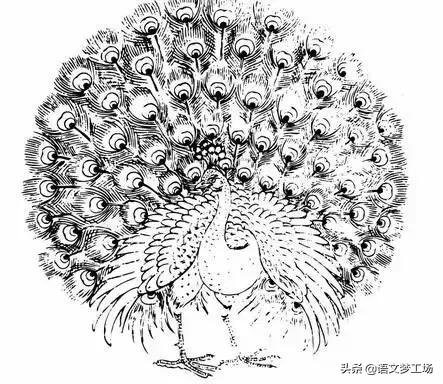 20个经典寓言寓意故事,10则短寓言故事