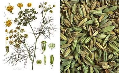 进口知识,进口零食知识