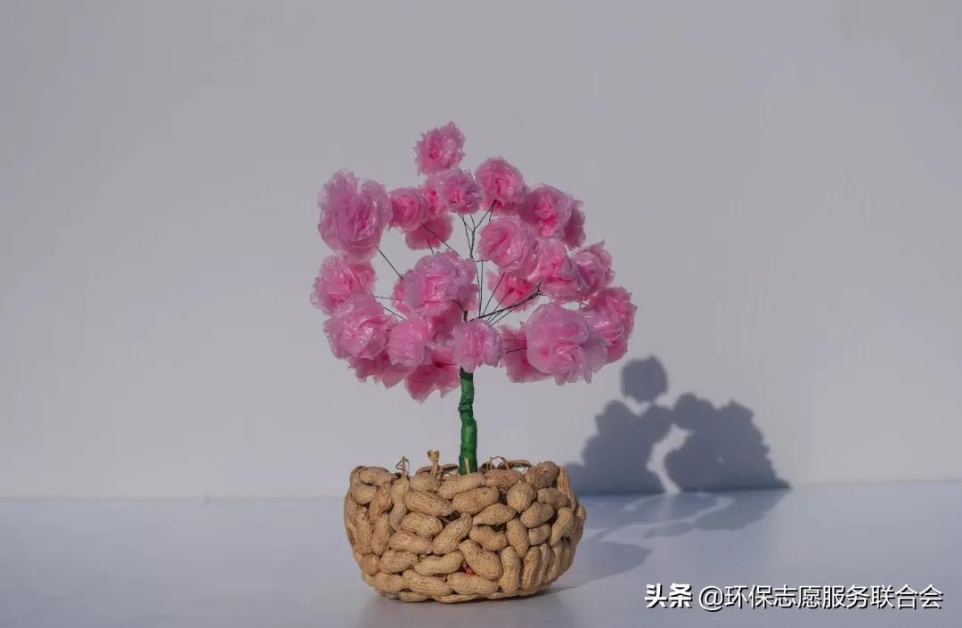 成都高校生态环境大联盟｜废旧物创意设计—四川国际标榜职业学院