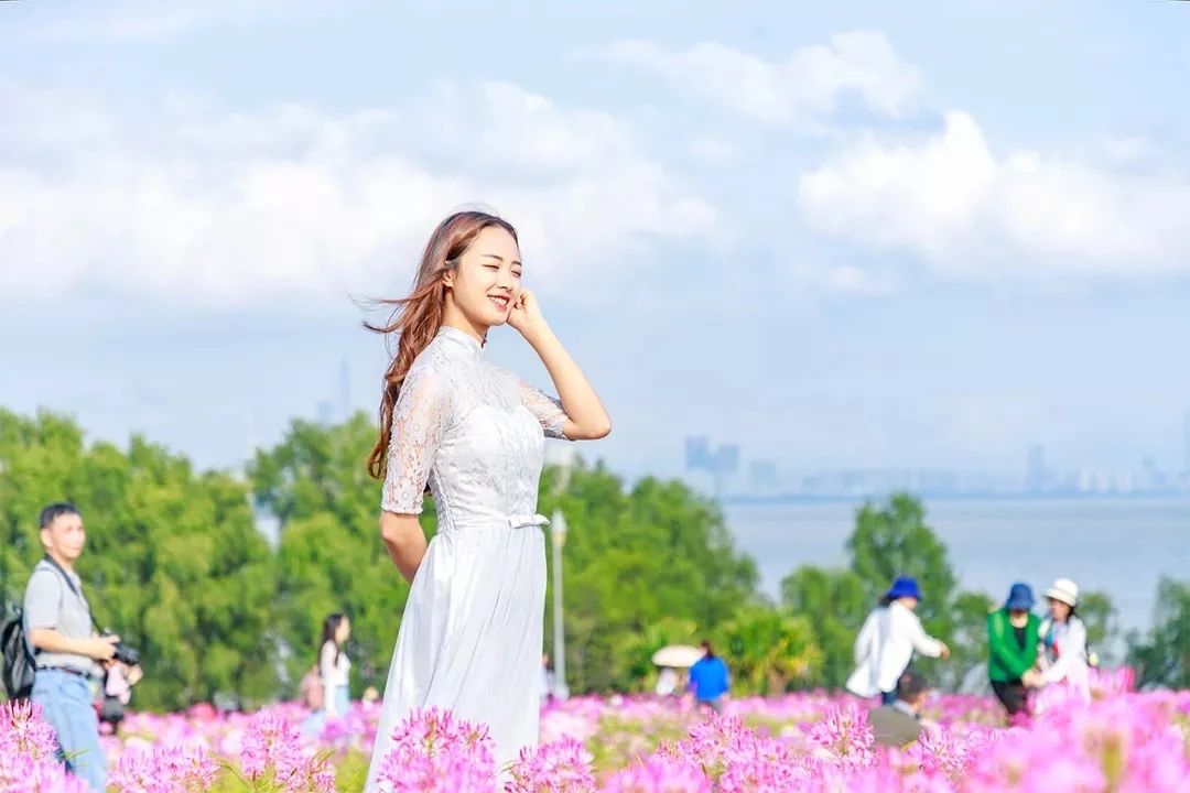 深圳周末浪漫好去处,深圳浪漫约会地点十个景点
