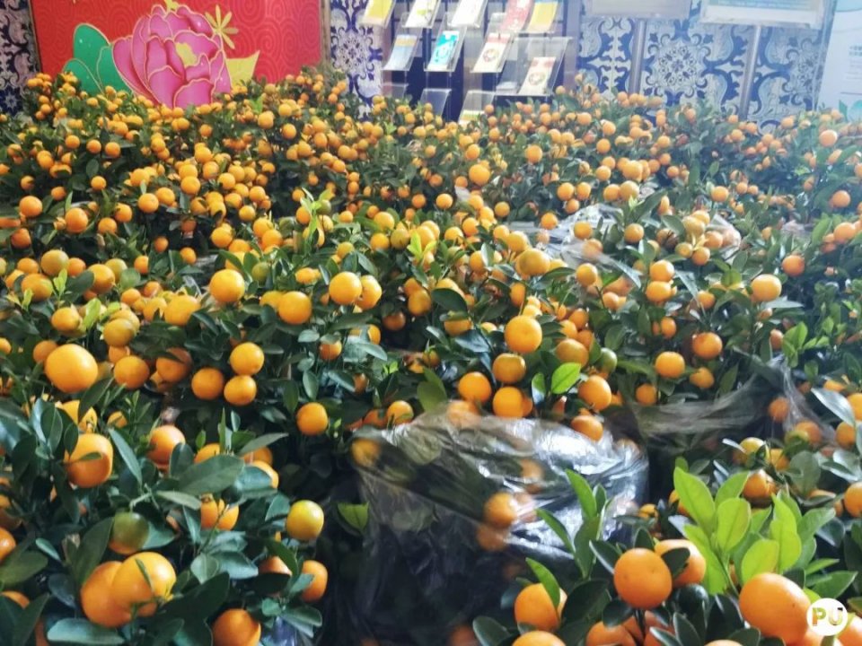 过年澳门旅游住宿省钱攻略,澳门一日游推荐自由行