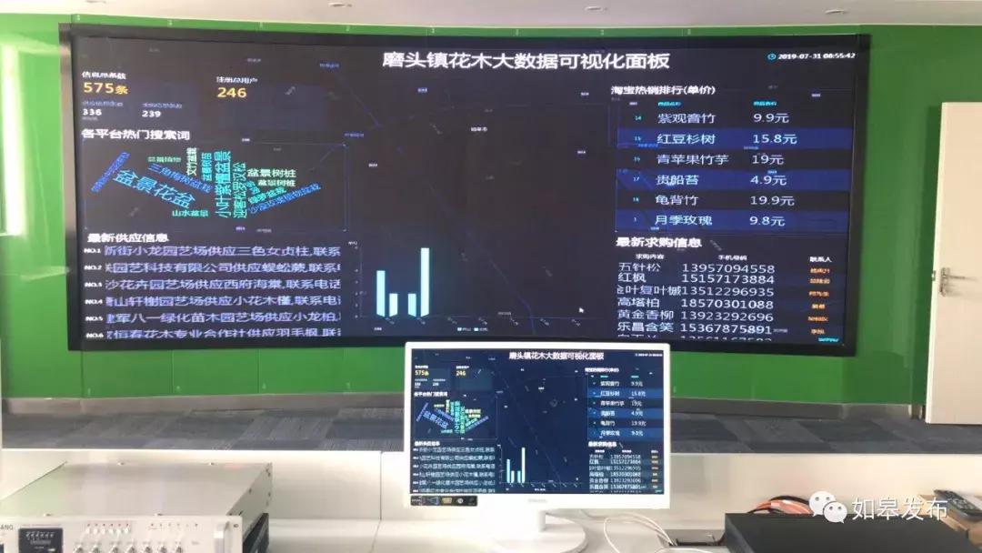 互联网花木,互联网电商大数据时代趋势