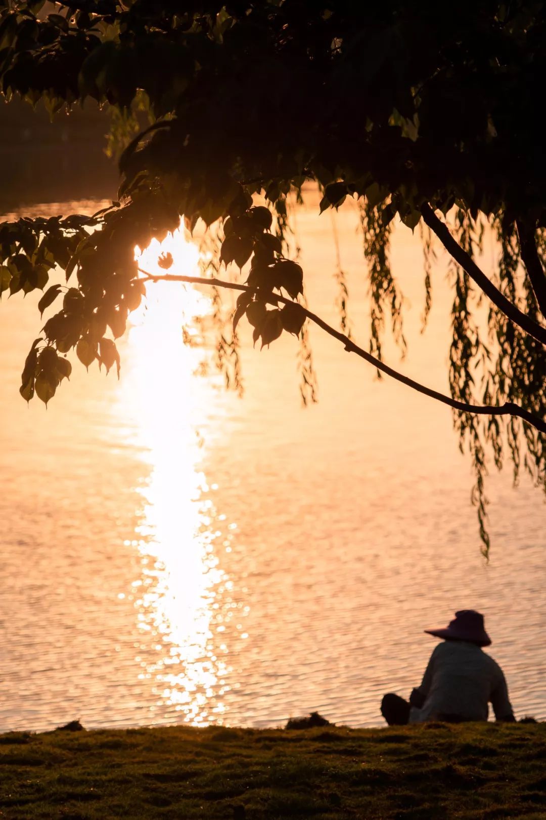 南京玄武湖边还有啥好玩的,玄武湖有什么好玩的