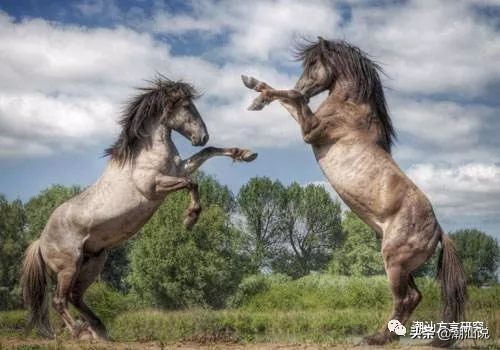 气到浪裂？错了，浪是不会裂的。教你“浪裂”正字怎么写。