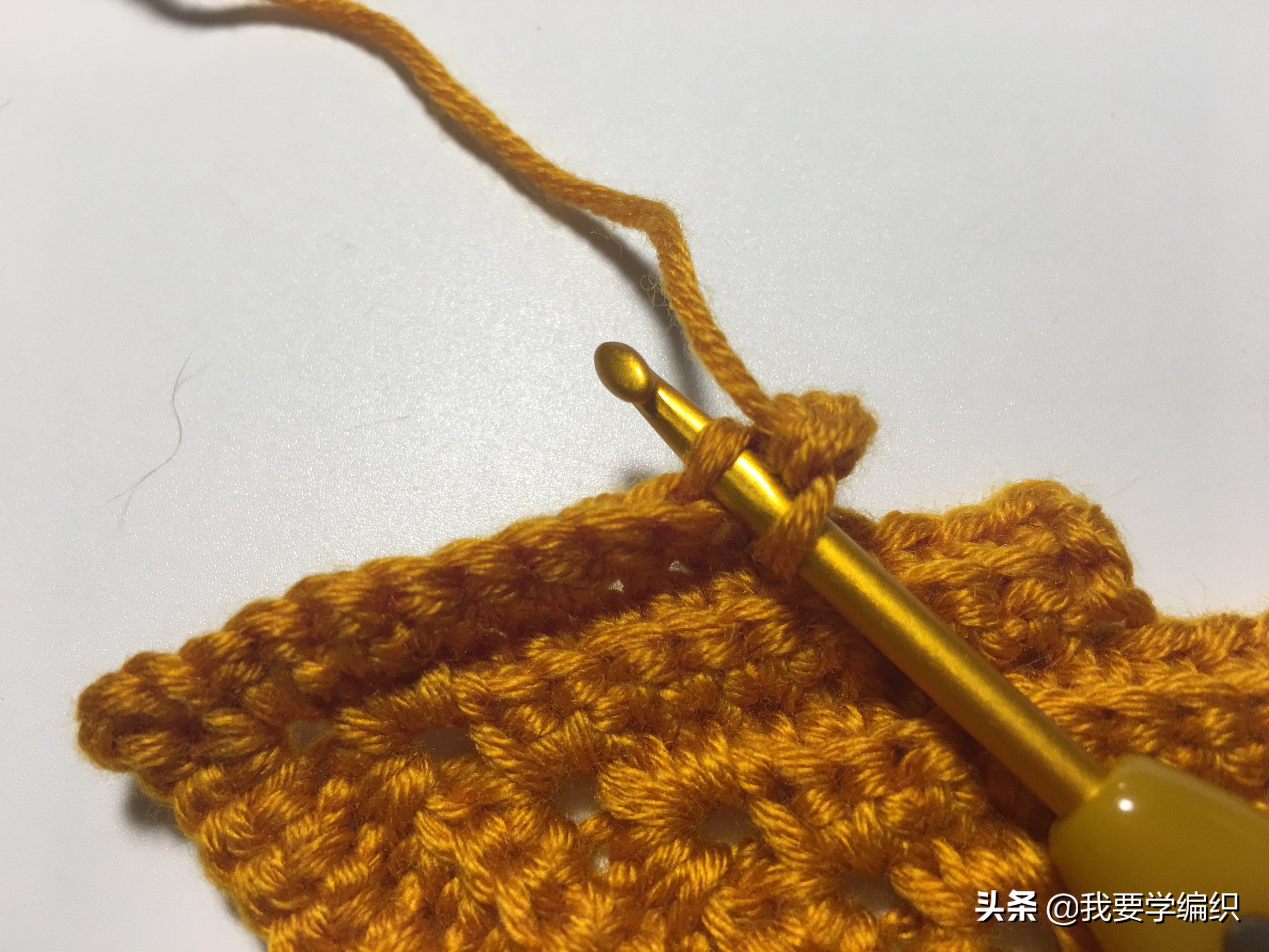 仿佛回到了过去的时光，一款浪漫的树叶书签教程，也可做成小挂饰