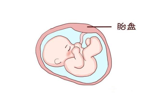 怀孕了才知道有多么的不容易,怀孕了才知道的真相