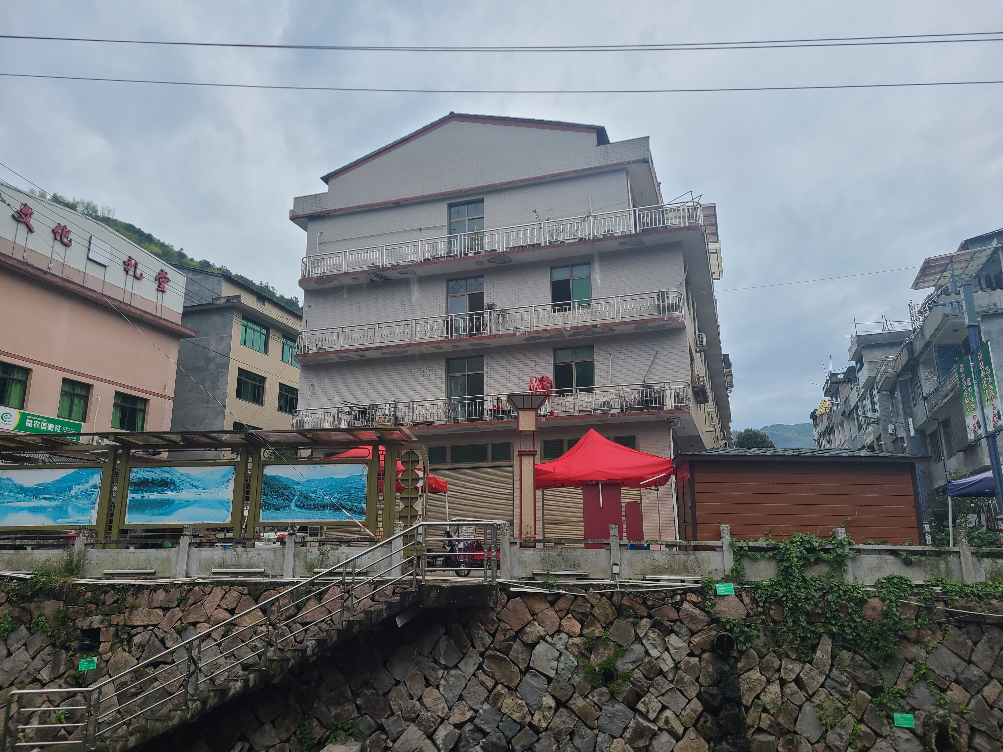 泰顺最出名的茶叶 (泰顺名茶有哪些)