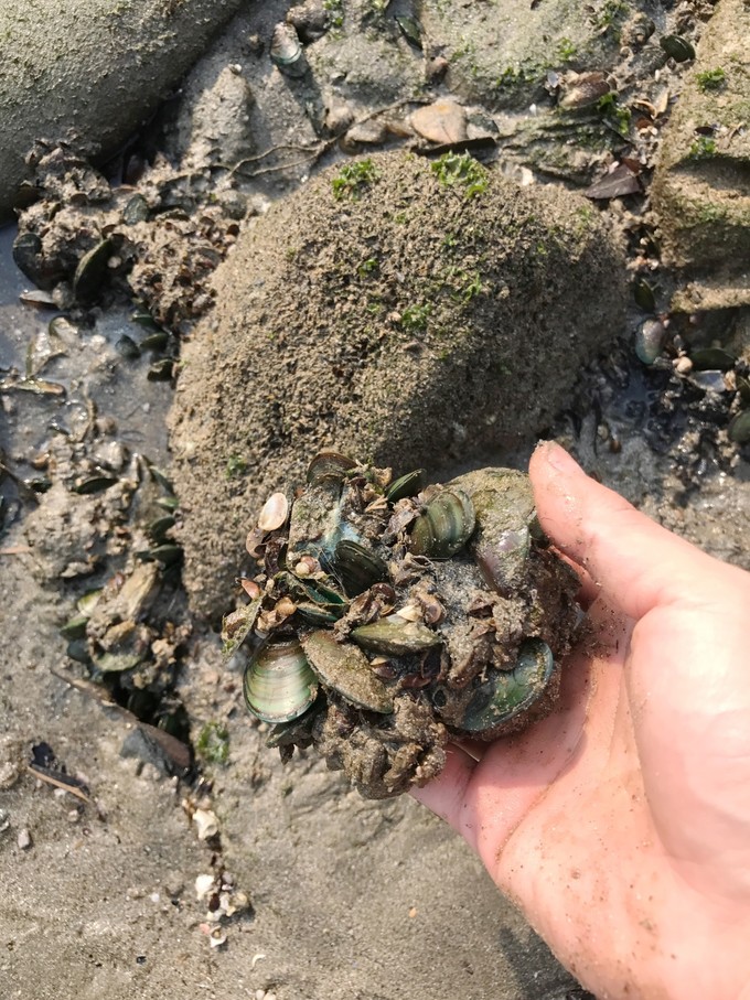 海陵岛四天三夜攻略,海陵岛4天游攻略