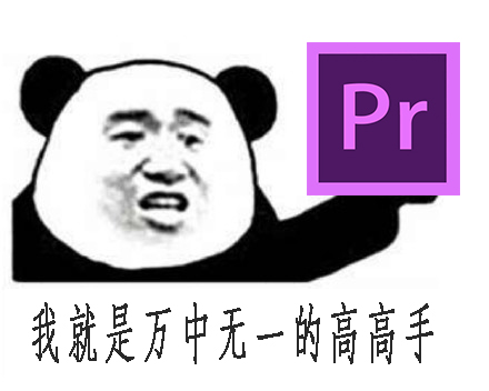 学习pr入门教程短视频,0基础学习pr用什么书