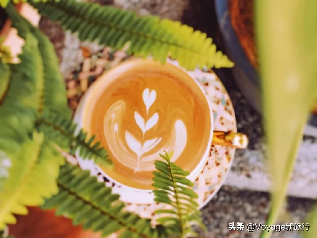 每一个打工贵族都不曾拥有的“贵族的一餐”