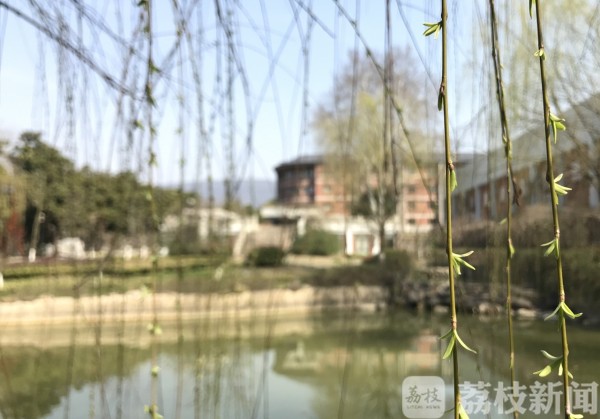 醉美浙大校园,醉美校园南京市江宁高级中学