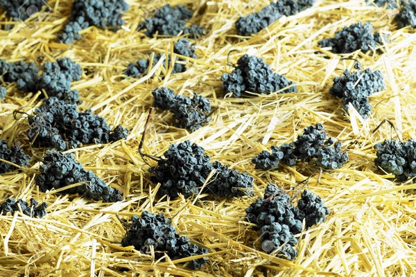 一份甜酒终极指南收藏了喝个遍,一份甜酒