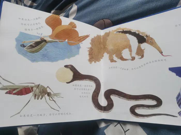 3-6岁儿童必读立体绘本,绘本3-6岁经典绘本早教科普