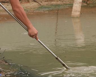 呱呱~石潭有个“青蛙王子”，每天都与500万只青蛙玩耍！