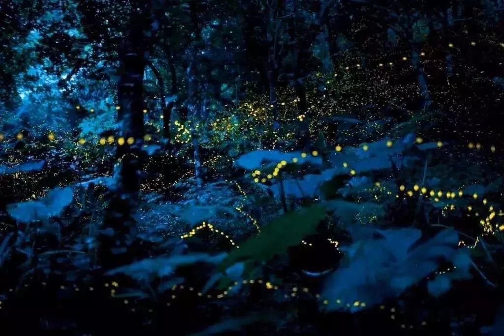 沙巴仙境一日游,沙巴室内一日游