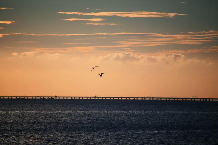 尼康入门单反,单反快速入门攻略