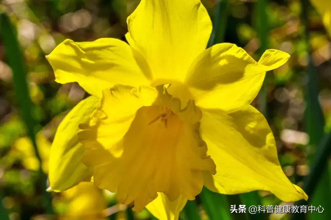 关于上火的饮食,上火的事情