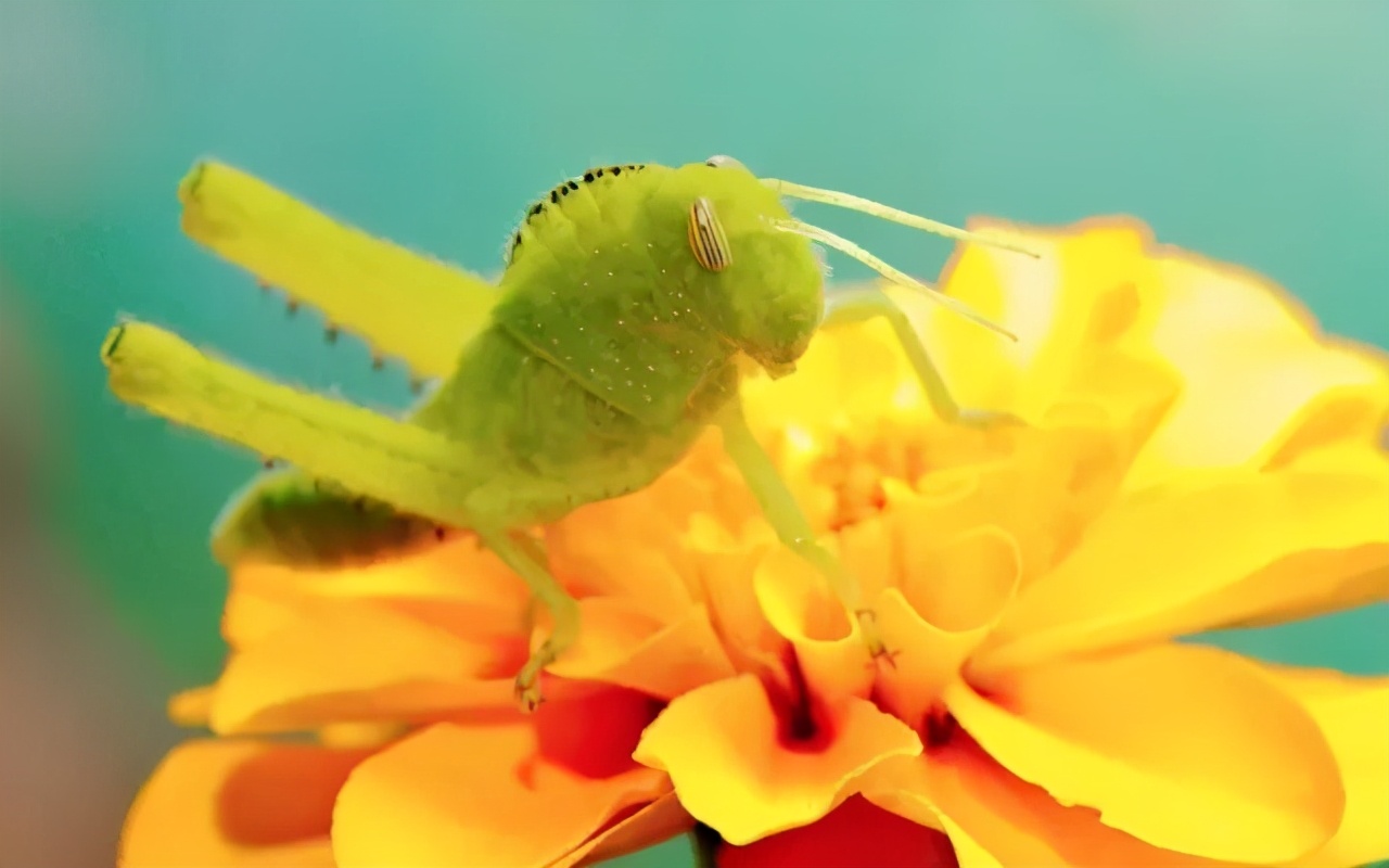 新手摄影怎么拍出质感,新手如何拍出好的作品