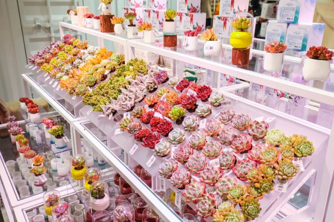 火爆全国的800㎡＋网红生活馆空降天津！居然隐藏了这么多秘密