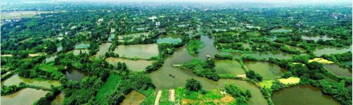 杭州是一个诗情画意之城,杭州真的是人间天堂吗