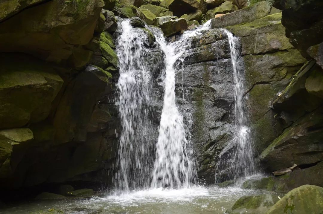 bw滤镜价格,bw滤镜哪里有正品