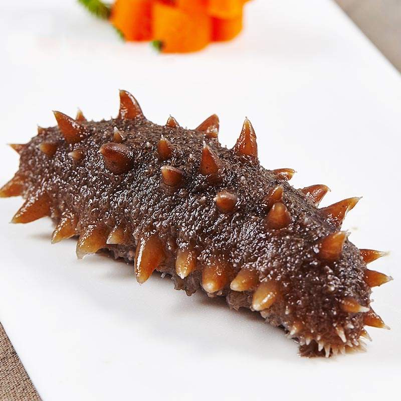 参老舅大连野生海参 (大连老曹野生海参)