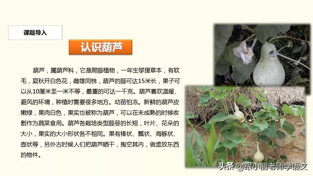 二年级我要的是葫芦的寓意是什么,二年级我要的是葫芦说明什么道理