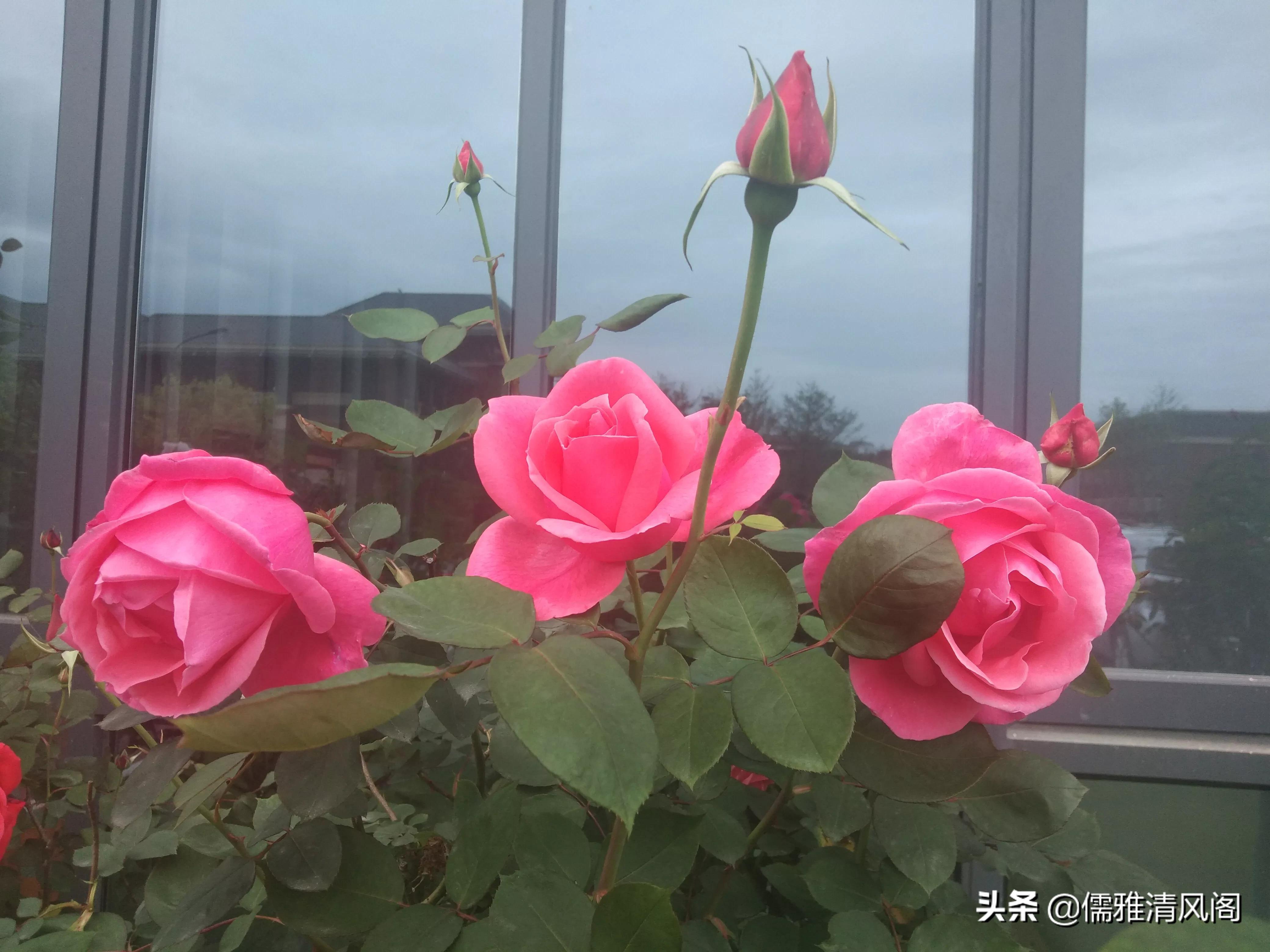 微小说讽刺哲理,微小说的优点