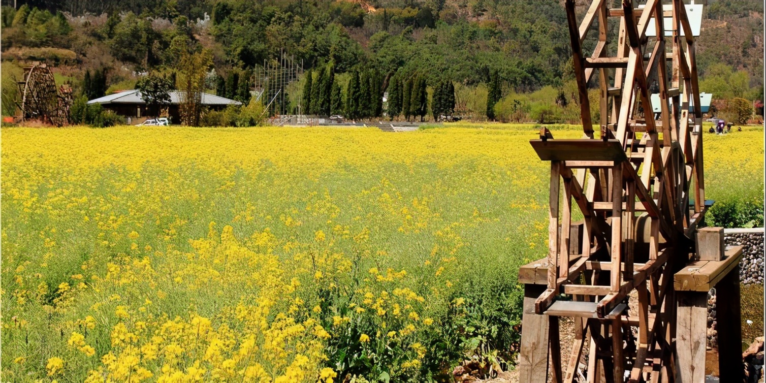 昆明周边美食一日游自驾游,昆明周边自驾游露营视频