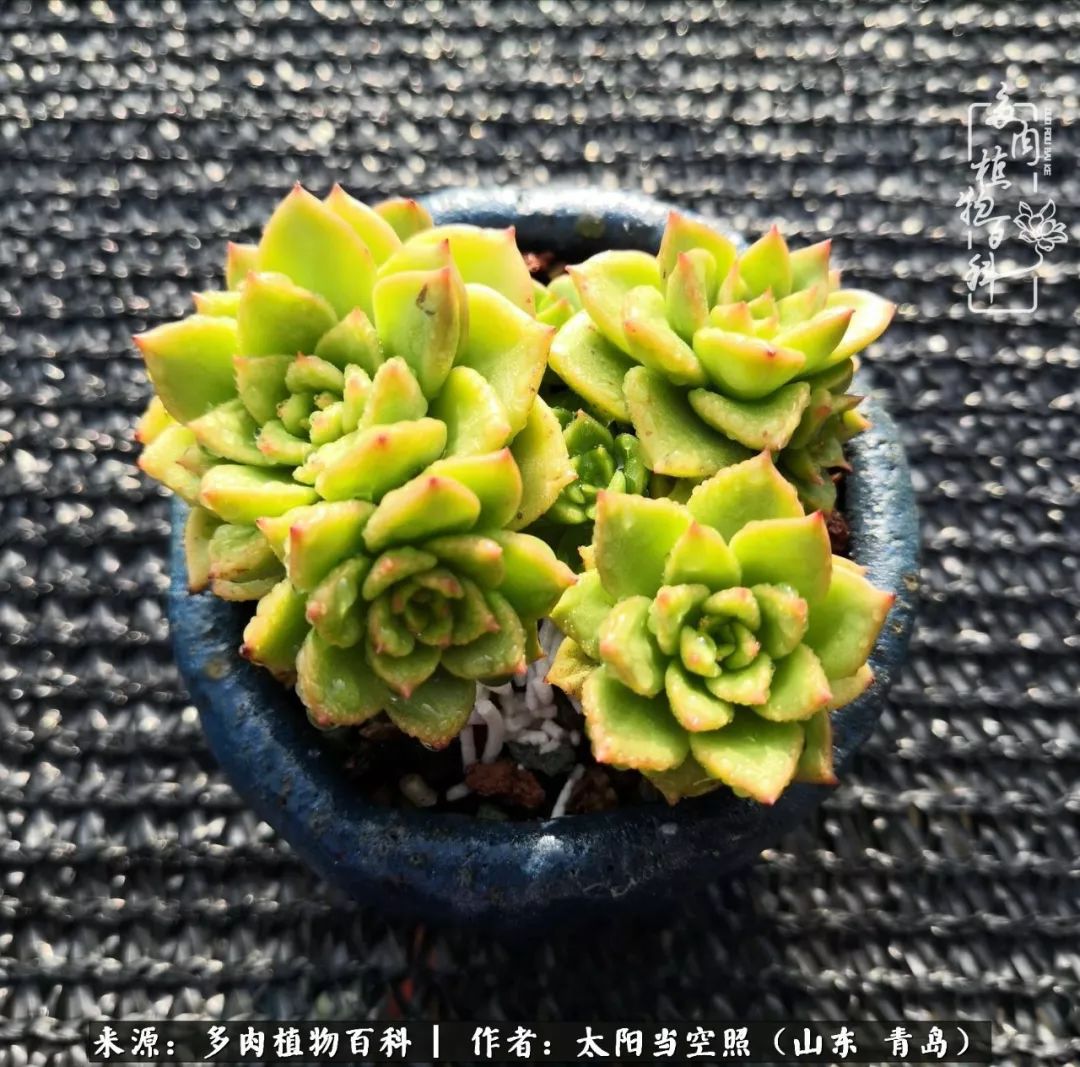 离家在外才发现最难忘的是故乡情,离家在外看见家乡的东西