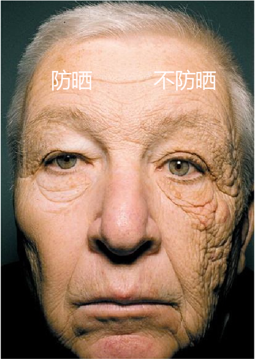 2019防晒霜销量排行榜,防晒霜销量第一名是哪一款