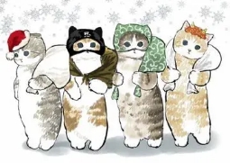 日本画师画自己家的猫,日本插画师画出养猫的日常