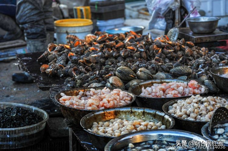 烟台莱阳海鲜早市,烟台老红利市场早市