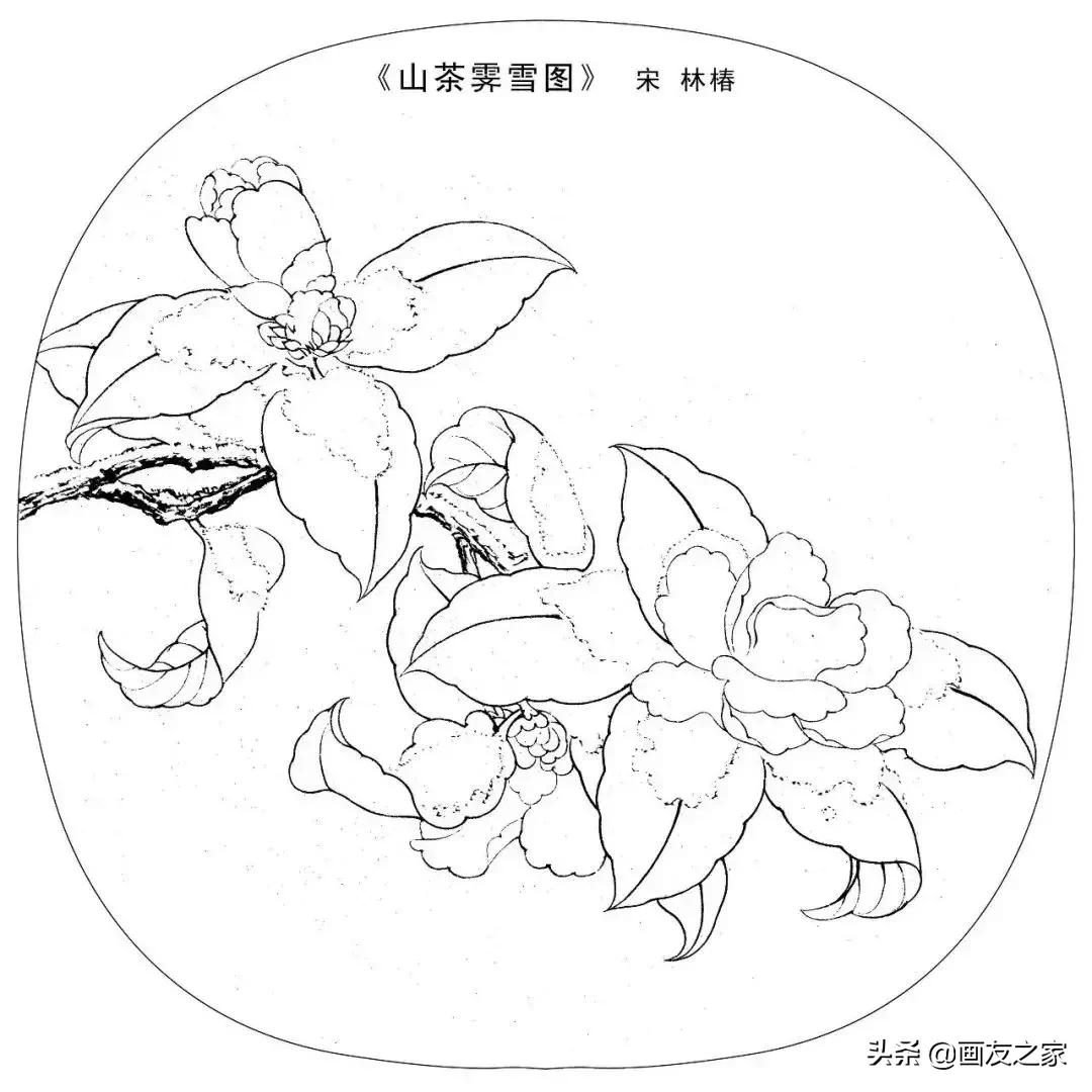 宋花鸟工笔画高清大图临摹过程,宋画工笔画花卉上色教程