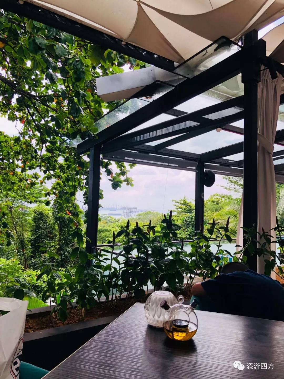 春节去新加坡亲子游记,新加坡亲子游3天2晚自由行含机票