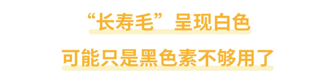 身上长一根白毛有福吗,身上长长寿毛意味着什么