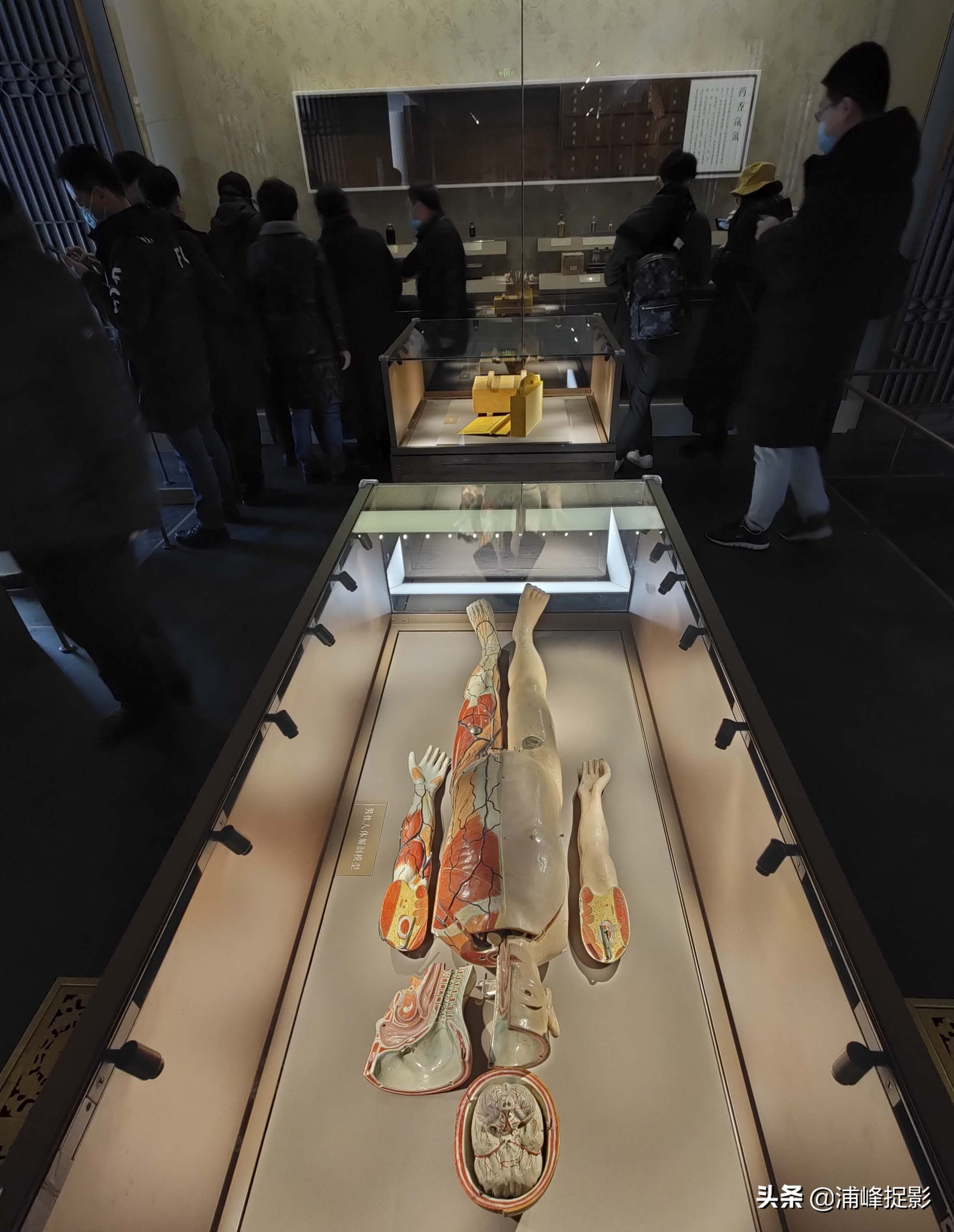 故宫慈禧太后人参健脾丸,故宫清宫医药展览