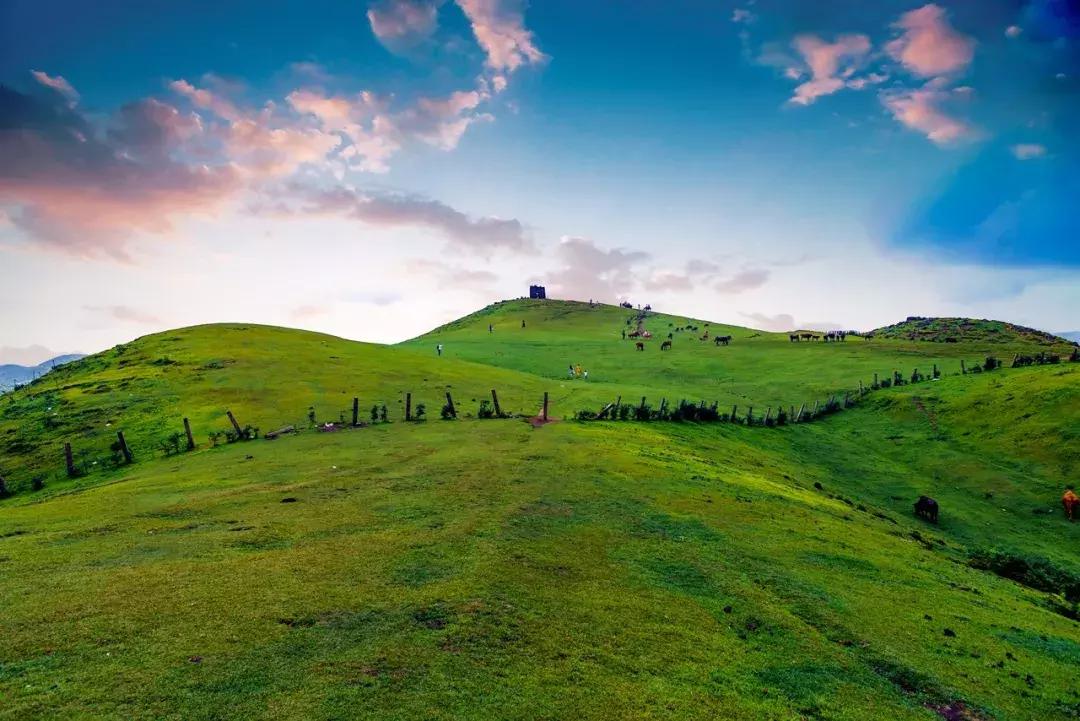 云雾山最近的路线,云雾山二日游