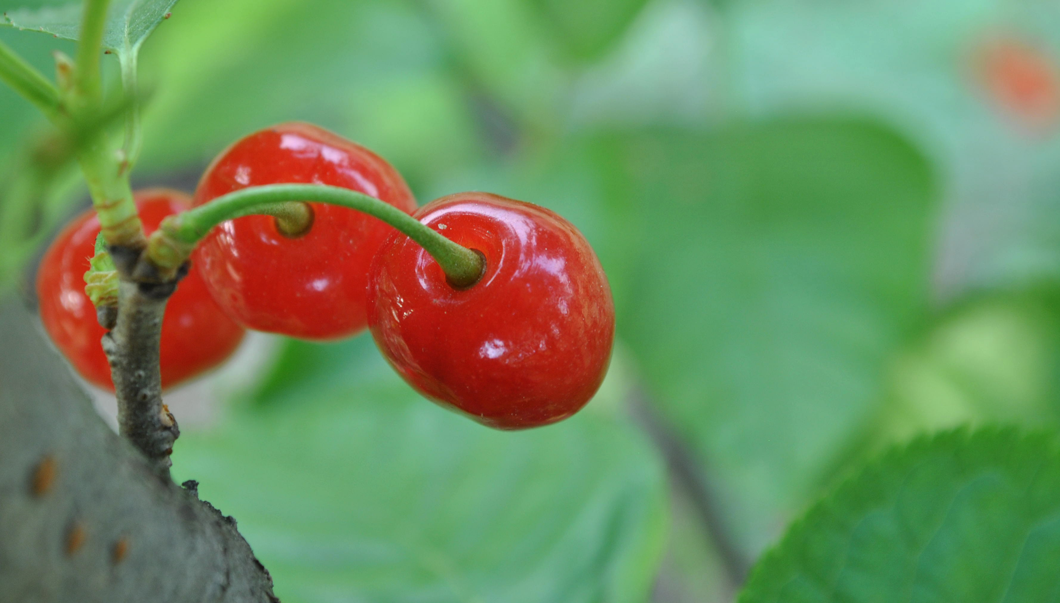 打游戏机械键盘用什么轴手感最好,手感偏软的机械键盘轴体