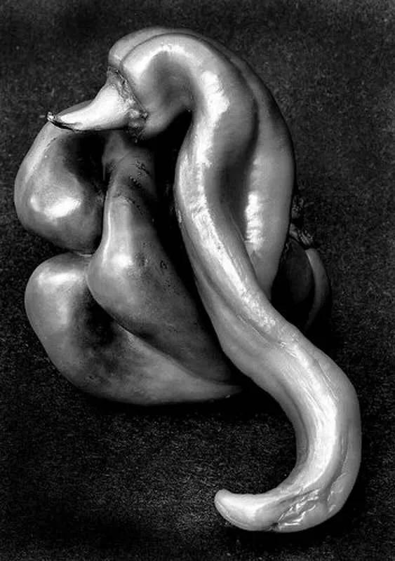 黑白摄影技巧大全,高品质黑白摄影的技法有哪些