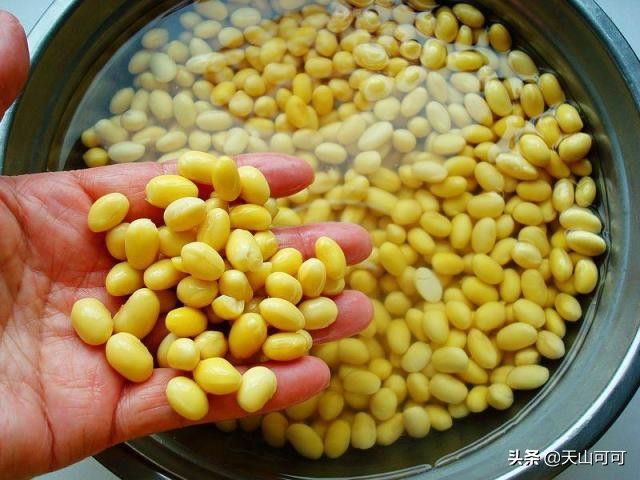 黄豆要炸多久才能熟,黄豆要煮多久才软糯