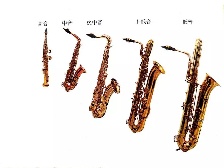 时髦的乐器,风骚乐器萨克斯