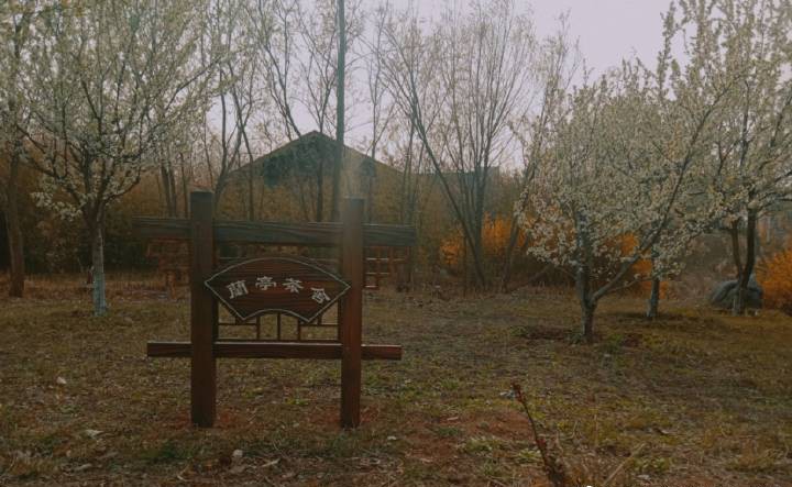 别人家的学校全集,别人家的学校风景