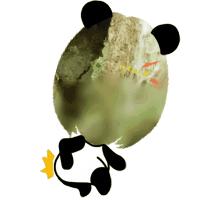 白菜种叶发黄的治疗方法,白菜枯死怎么治