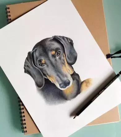 什么牌子的画材好用,世界十大画材排行榜