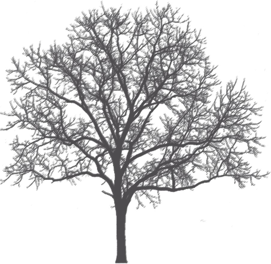 常见印刷工艺分类,常见印刷纸张分类与特性